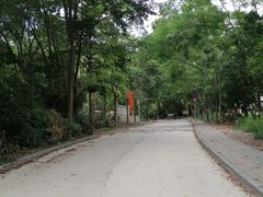 -火炉山森林公园