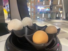 -无界釜·河豚鱼汤锅(红山动物园店)