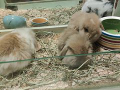 -龙猫仔乐园(惠福东路店)