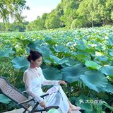 南京‘40度高温就为了来玄武湖喝咖啡拍荷花！