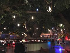 -杭州开元森泊度假乐园