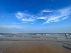 -日照海滨国家森林公园