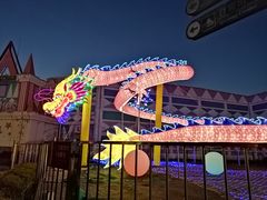 -锦江乐园舞狸花花游园会(夜场专享)