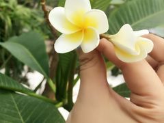 -武清南湖绿博园