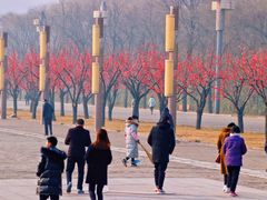 -终南山古楼观历史文化景区