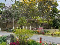 -东莞植物园