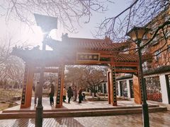 -桃花堤公园