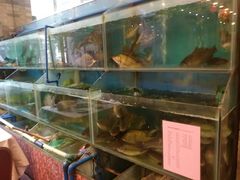 水产区-六婶西关小厨(光塔路店)