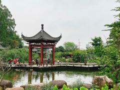-广州神农草堂中医药博物馆