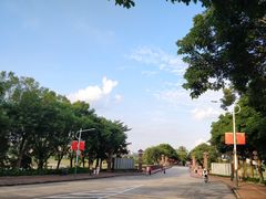 -风云岭森林公园