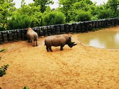 -西霞口神雕山野生动物世界