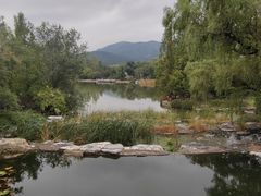 -永定河休闲森林公园