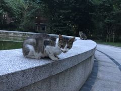 -上海科学技术职业学院