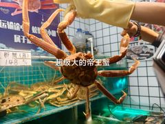 -震海贝烤贝·民俗特色店(延吉总店)
