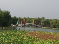 -石家庄市植物园