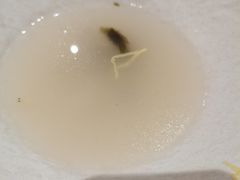 -琴岛顺天馄饨(崂山金鼎店)