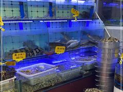 水产区-日照大牌檔•小船海鲜(万平口店)