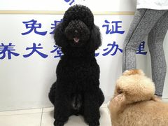 -申普宠物医院·眼科·心内科·影像科(普陀分院)