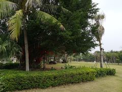 -采粤轩中餐厅(惠州金海湾喜来登度假酒店)