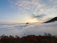 -白草畔自然风景区