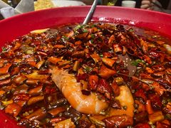 -大连湾旭日·家宴·海肠捞饭(马栏广场店)