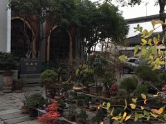 -凤凰寺