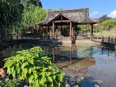 -中国科学院西双版纳热带植物园