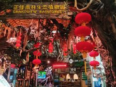 -正佳雨林生态植物园