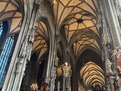 -斯蒂芬主教座堂(Stephansdom)