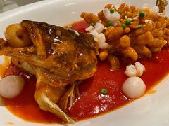 松鼠桂鱼-金鼎轩(方庄天坛店)