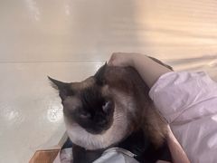 -藏猫猫咖啡主题馆(中央大道店)