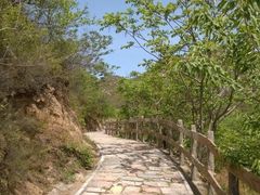 -大岭沟猕猴桃谷风景区