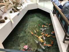 -听松楼-中餐厅.家宴(红梅公园店)