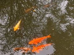 -成都杜甫草堂博物馆