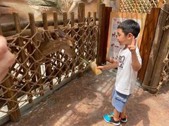 -杭州开元森泊度假乐园