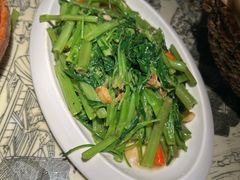 通菜-吴莊(龙城万科里店)