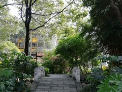 -成都市活水公园
