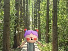-同里国家湿地公园