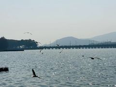 -水上明月·湖景餐厅