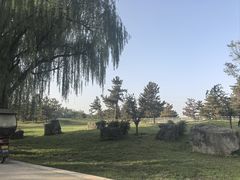 -汉长安城未央宫国家考古遗址公园