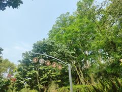 -中国科学院西双版纳热带植物园