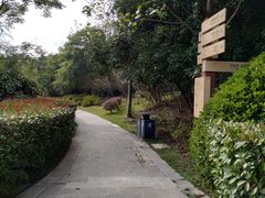 -合肥三国新城遗址公园