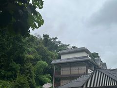 -野象谷景区