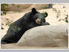 -西安秦岭野生动物园