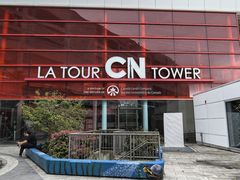 -加拿大国家电视塔