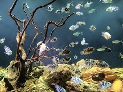-海合安成都极地海洋公园