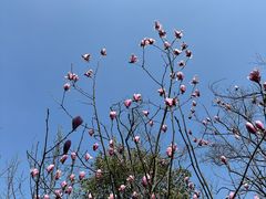 -台州府城(江南长城)