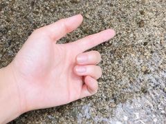 -白水寺森林公园