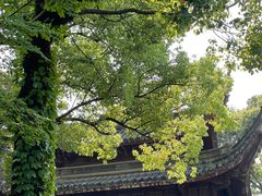 -天一阁博物院