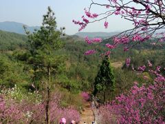 -天台山赤城山景区